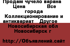 Продам чучело варана. › Цена ­ 15 000 - Все города Коллекционирование и антиквариат » Другое   . Новосибирская обл.,Новосибирск г.